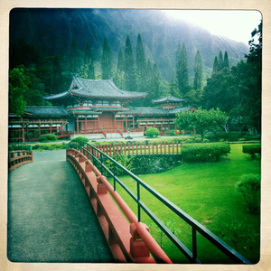 Hip 334380256.980482