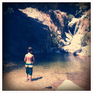 Hip 335217290.593322