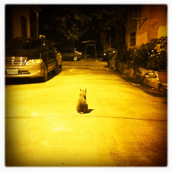 Hip 332010109.205363