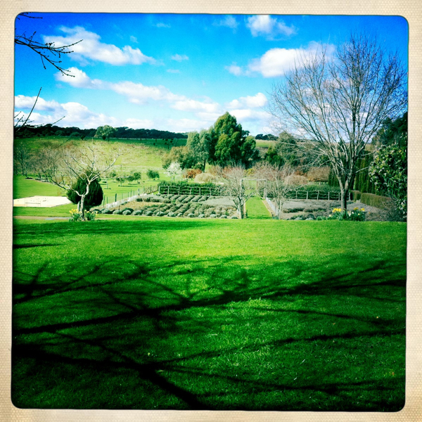 Hip 335502086.557060