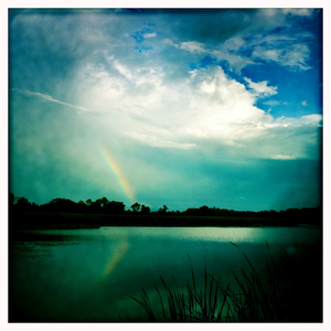 Hip 335659446.563675