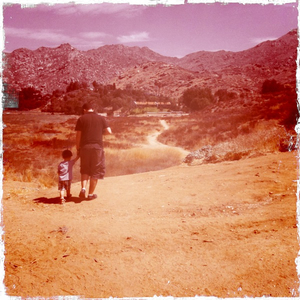 Hip 335644036.950941