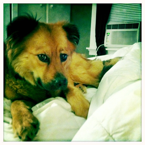 Hip 335677221.340538