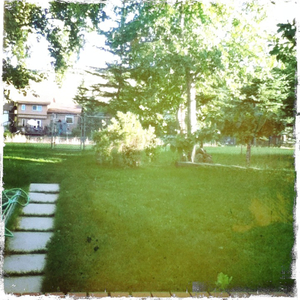 Hip 335582649.891547