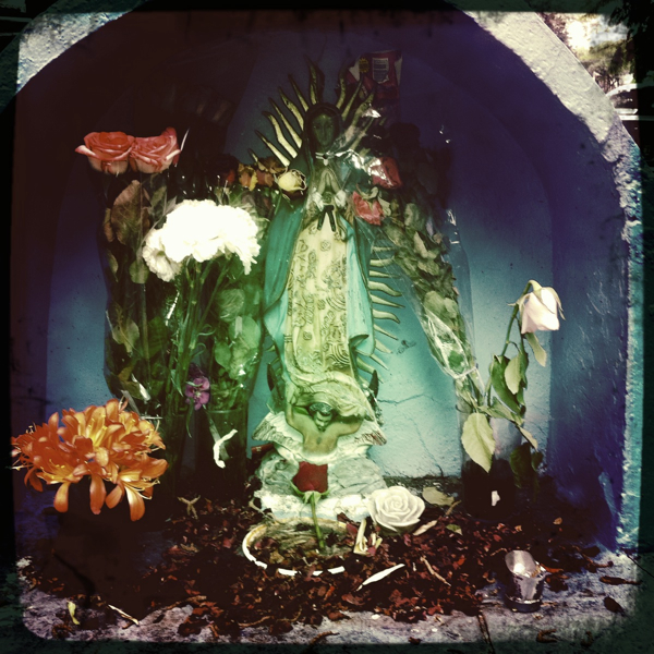 Hip 335661560.367781