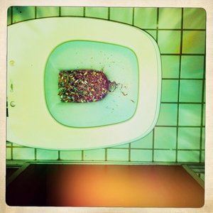 Hip 335677830.760975