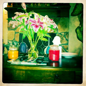 Hip 335676746.812271