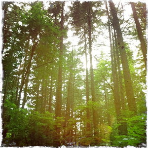 Hip 333330530.918284