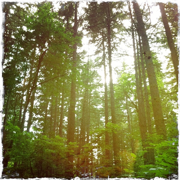 Hip 333330530.918284