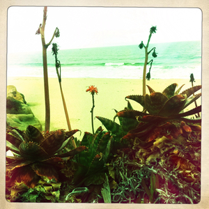 Hip 333064361.141488