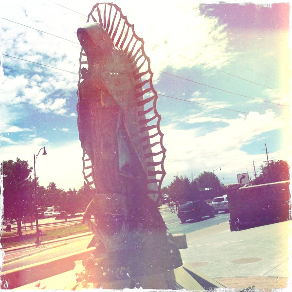 Hip 334264147.241658