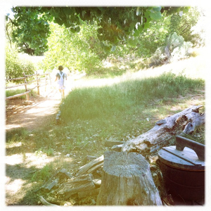 Hip 334082839.239358