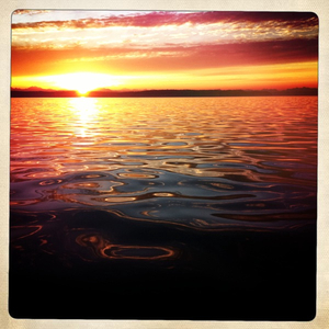 Hip 335625699.466336