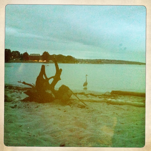 Hip 330064223.020712