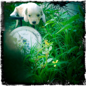 Hip 335658540.677103