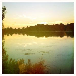 Hip 332470708.742981