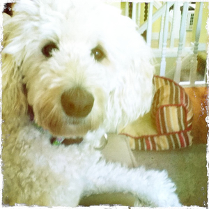 Hip 329157411.130022