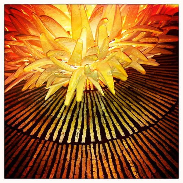 Hip 335683806.039470