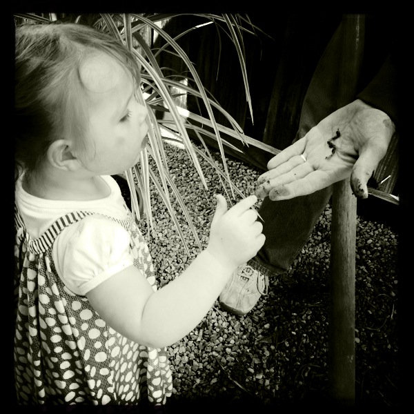 Hip 335682586.604546