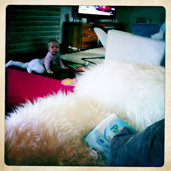 Hip 335688865.699293