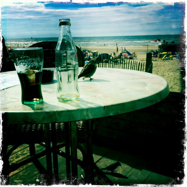 Hip 335541094.905824