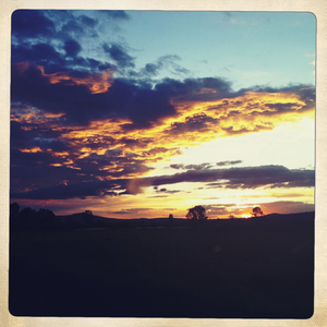 Hip 333854937.998584