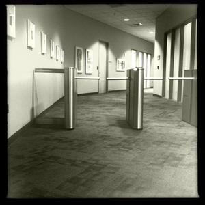 Hip 332178838.705419