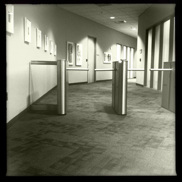 Hip 332178838.705419