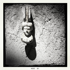 Hip 335529964.077942