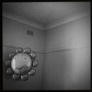 Hip 316052994.786833