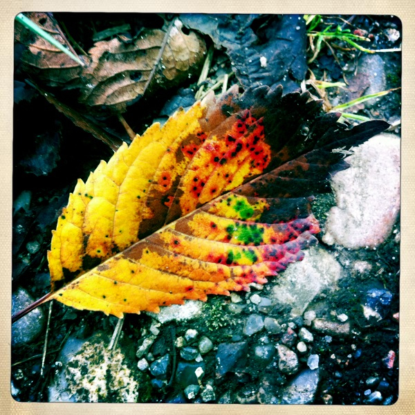 Hip 335690469.739707