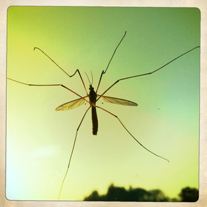 Hip 335683475.973008