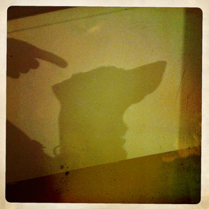 Hip 335046082.652200