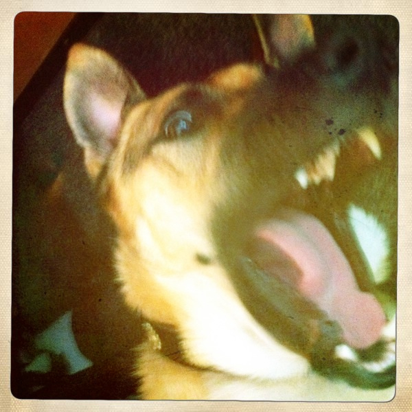 Hip 335372661.433600