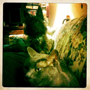 Hip 335696234.026853