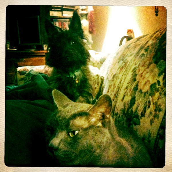 Hip 335696234.026853