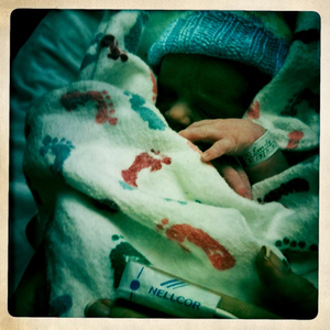 Hip 335115287.285999