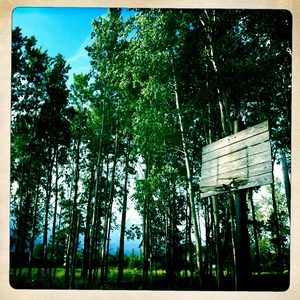 Hip 330283073.416176