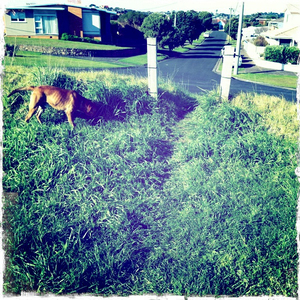 Hip 307693140.593237