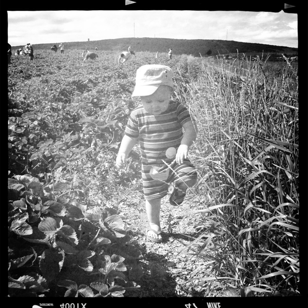 Hip 335036661.244222