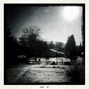 Hip 317986831.167751