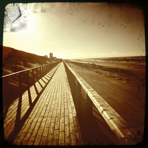 Hip 313848076.907936