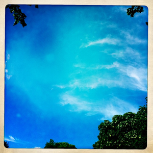 Hip 335635894.463164