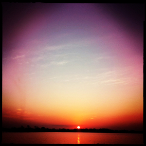 Hip 335707498.240464