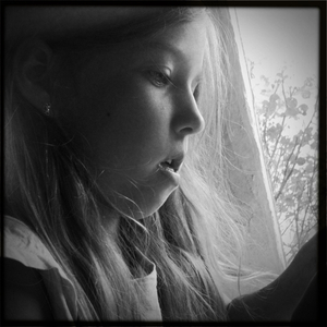 Hip 335711526.331578