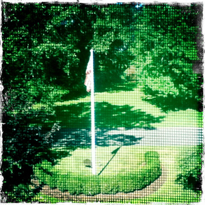 Hip 335714461.967323