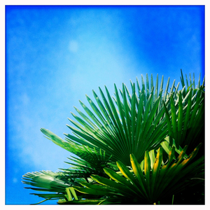 Hip 335631641.360597