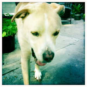 Hip 335626556.363620