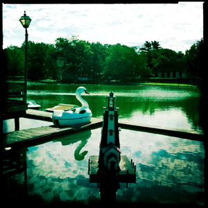 Hip 335716600.816200