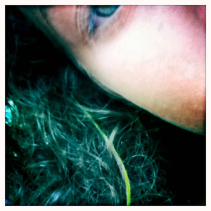 Hip 335651426.771054